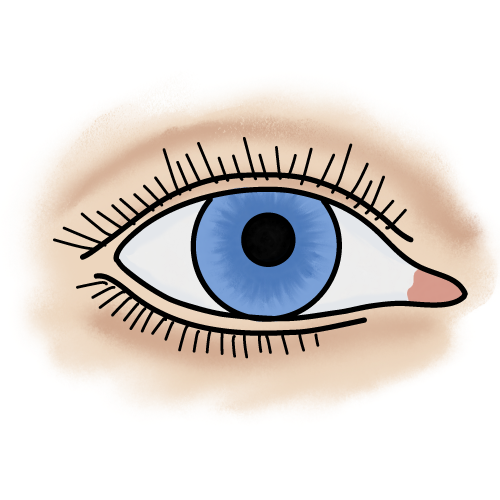 Eye